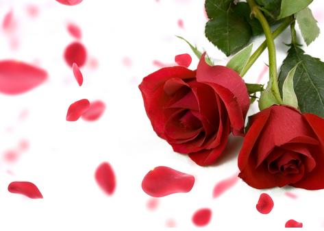 脾气太差动不动就喊分手的星座女 脾气太差动不动就喊分手的星座女