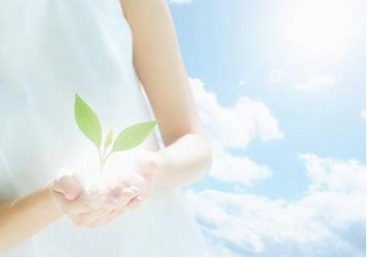 女人春天喝什么汤最好