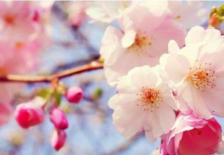 天蝎座女生性格特点