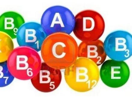 减肥期间可以吃的食物