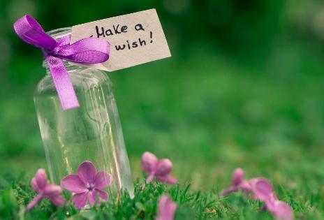 1991年属什么生肖的 1991年属什么生肖的