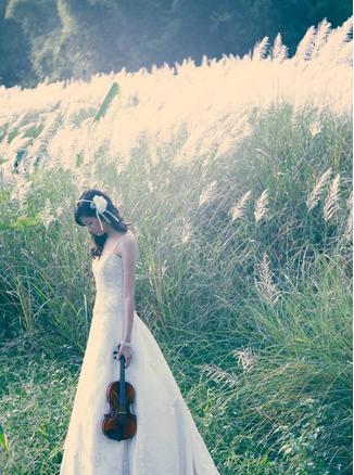 属狗的今年多大2017