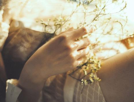 属狗的今年多大2017