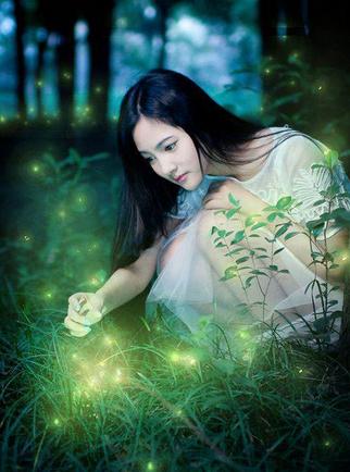 农历是阳历还是阴历