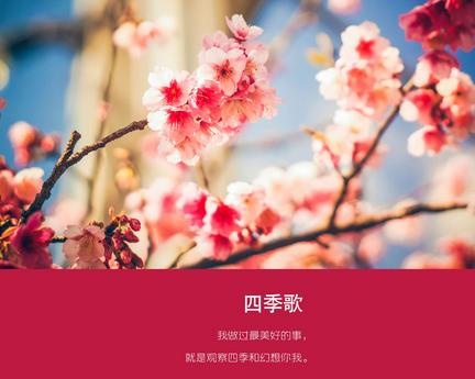 83年属什么生肖