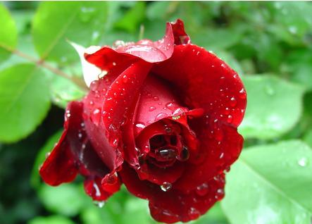 84年属什么生肖 84年属什么生肖