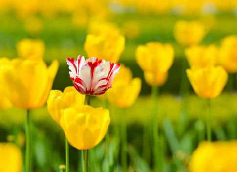 a型血男人的性格 a型血男人的性格