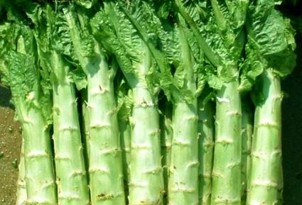 平胸吃什么可以丰胸