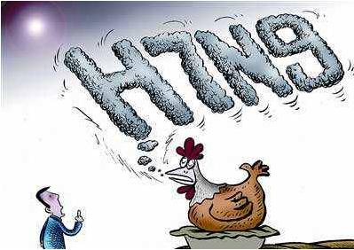 禽流感的传播途径