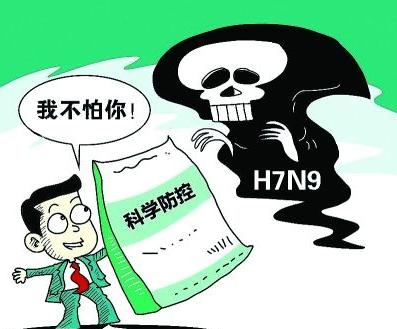 禽流感的传播途径 禽流感的传播途径