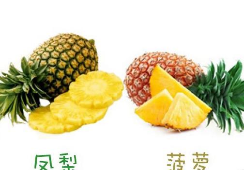 凤梨和菠萝的区别 凤梨和菠萝的区别