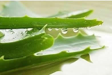 芦荟胶去痘印有效吗