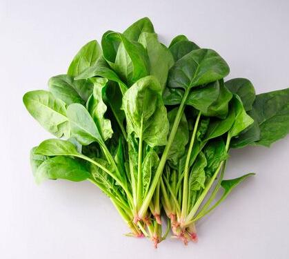 菠菜和豆腐能一起吃吗