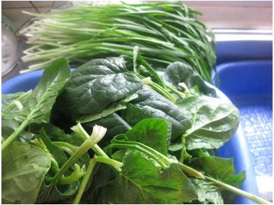 菠菜和豆腐能一起吃吗