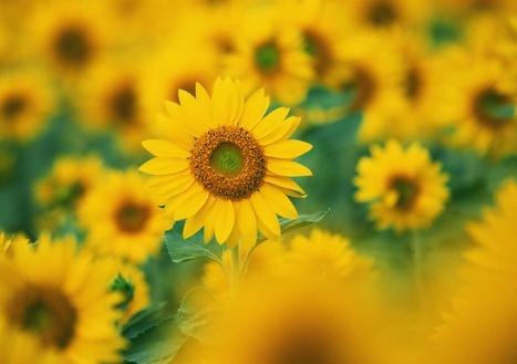 1990年属什么生肖 1990年属什么生肖