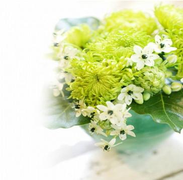 双子座是几月几号到几月几号