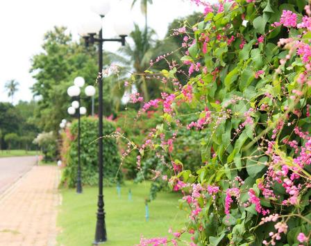 双子座是几月几号到几月几号 双子座是几月几号到几月几号