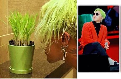 2017美发流行趋势 盘点最流行的6大发型趋势<