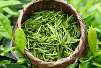 减肥不花一分钱？想要减肥从日常习惯入手