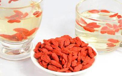 枸杞子的作用与功效