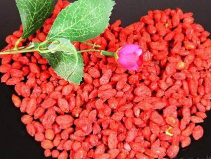 枸杞子的作用与功效