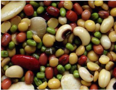 怀孕不能吃什么