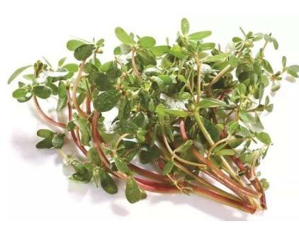 孕妇不能吃哪些食物