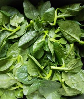 孕妇不能吃哪些食物