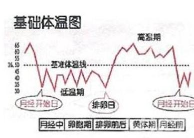 排卵期的计算方法