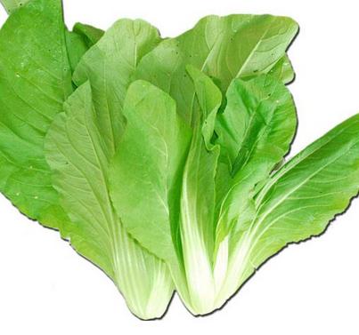 减肥必吃的4类食物 减肥必吃的4类食物
