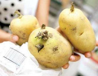 孕妇不能吃什么东西