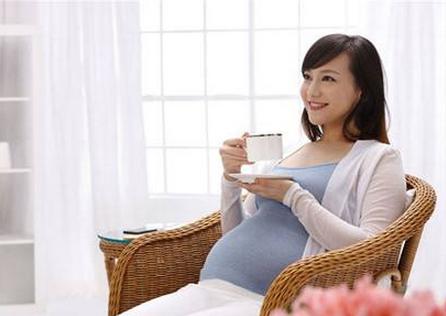 孕妇奶粉哪个牌子好