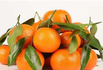 儿童增高补钙食谱 儿童增高补钙食谱