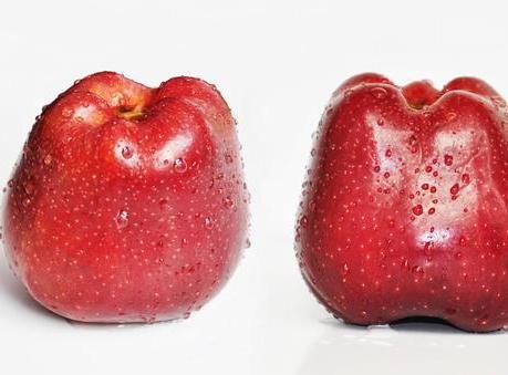 糖尿病人吃什么水果好