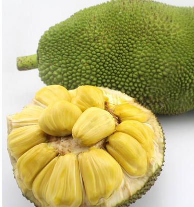 菠萝蜜的营养价值 哪些人不能吃菠萝蜜 菠萝蜜的营养价值 哪些人不能吃菠萝蜜