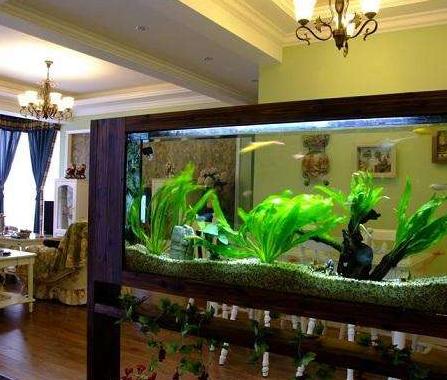 鱼缸的摆放风水