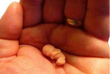 受精卵着床需要几天 受精卵着床需要几天