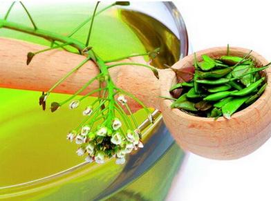 懒人专用的减肥法 据说效果不是一般的好 懒人专用的减肥法 据说效果不是一般的好