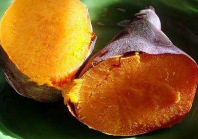 胃不好吃什么养胃