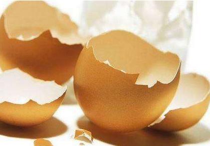 毛孔粗有黑头怎么办 毛孔粗有黑头怎么办