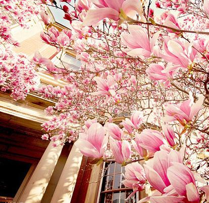 天蝎座女生性格弱点 天蝎座女生性格弱点