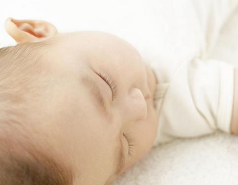 狗宝宝几月出生好 2018年狗宝宝几月出生最好