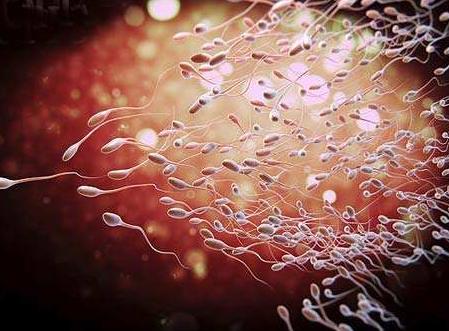 排卵后几天着床 排卵后几天着床