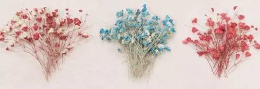 美甲粘干花教程