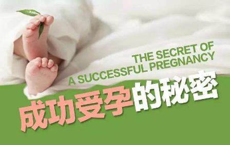 怎么样容易怀孕 怎么样容易怀孕
