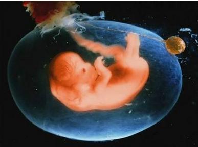 羊水指数标准 羊水指数标准