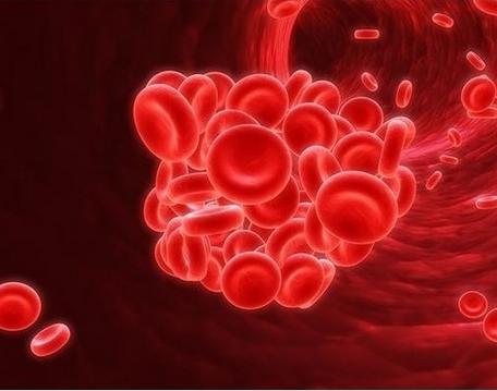 血常规化验单怎么看 血常规化验单怎么看