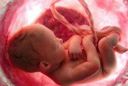 入盆是什么感觉 入盆是什么感觉