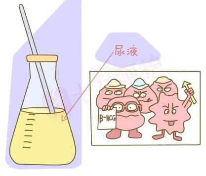 怀孕最早几天能测出来