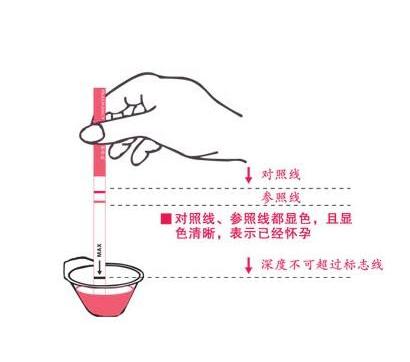 多长时间可以验孕 多长时间可以验孕